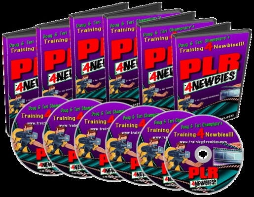 Product picture PLR4Newbies - Make More Money